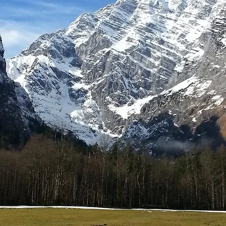 Tourist Boehm 3*
