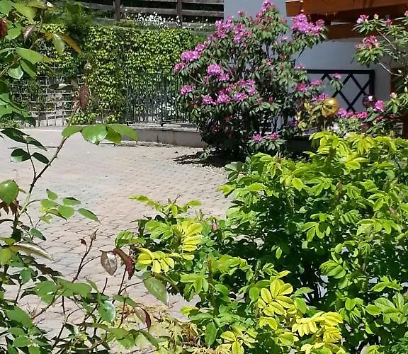 Tourist Boehm Hotel 3*