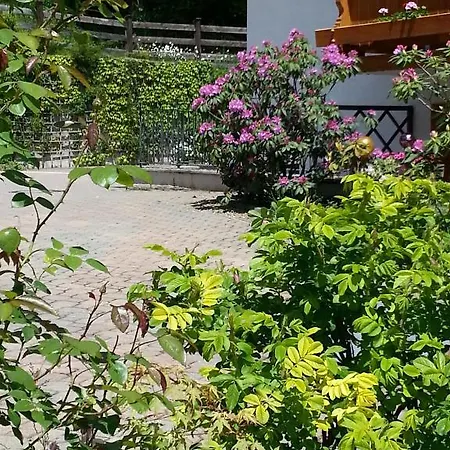 Tourist Boehm מלון 3*